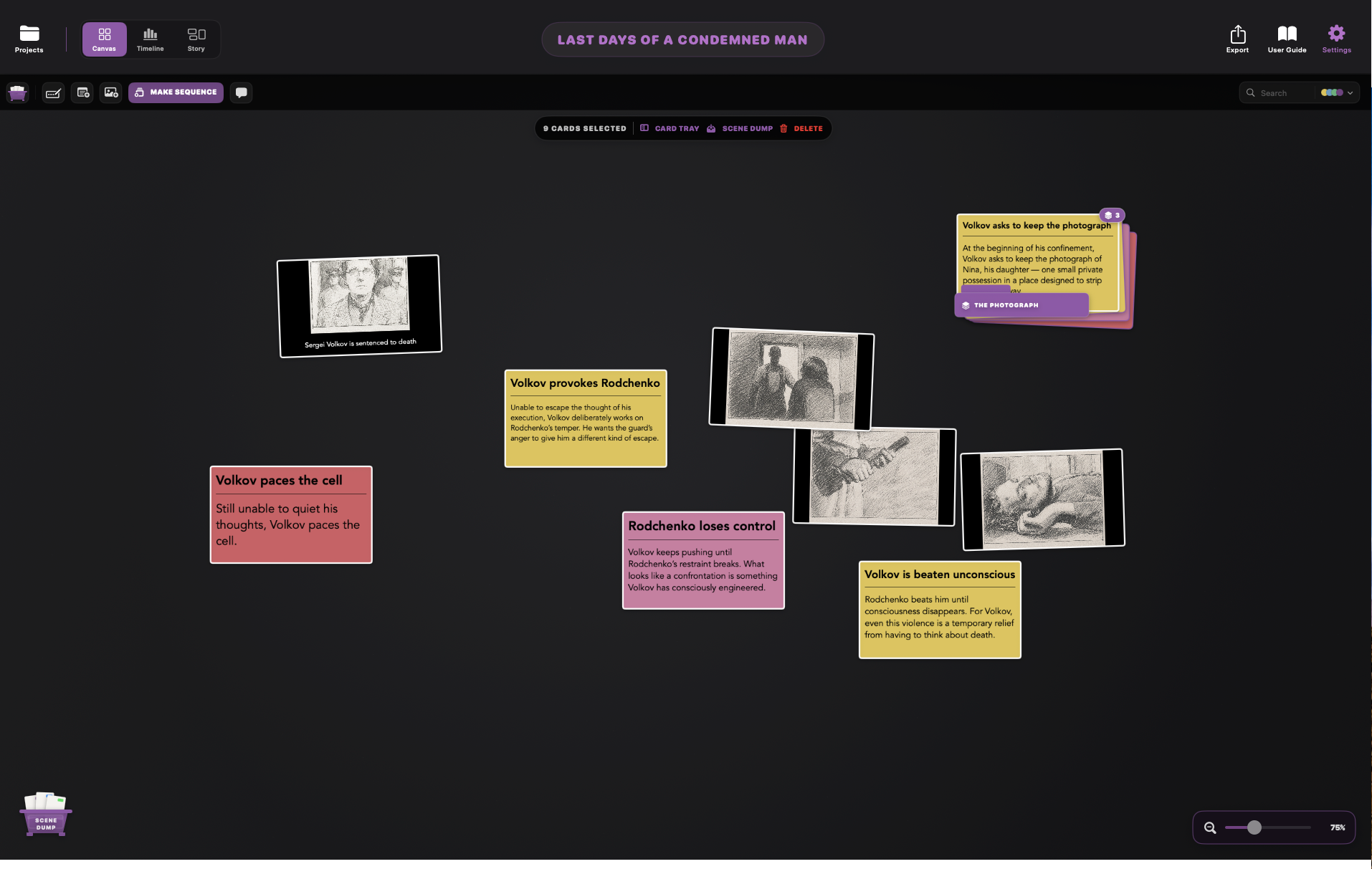 ReelWriter Canvas view